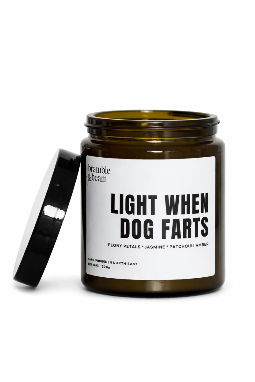 Light When Dog Farts Candle