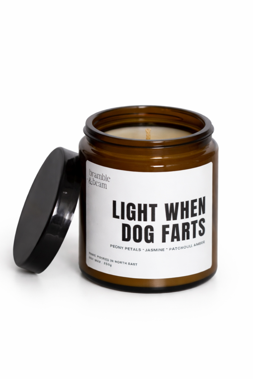 Light When Dog Farts Candle